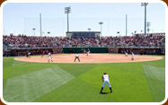 Aggie Softball Complex